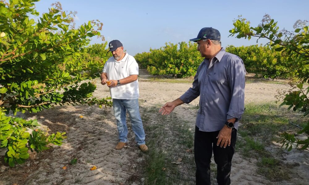 governo-de-roraima-impulsiona-agricultura-familiar-com-projeto-agroecologico-–-governo-de-roraima