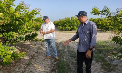 governo-de-roraima-impulsiona-agricultura-familiar-com-projeto-agroecologico-–-governo-de-roraima