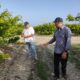 governo-de-roraima-impulsiona-agricultura-familiar-com-projeto-agroecologico-–-governo-de-roraima