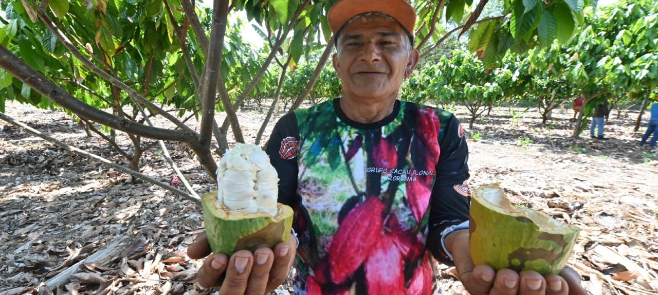 desenvolvimento-regional-assembleia-legislativa-aprova-debates-sobre-cacau,-salario-de-servidores-e-denuncias-sobre-transporte-escolar-|-ale-rr-|-assembleia-legislativa-de-roraima