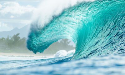pipeline-volta-a-sediar-a-etapa-final-do-circuito-mundial-de-surfe