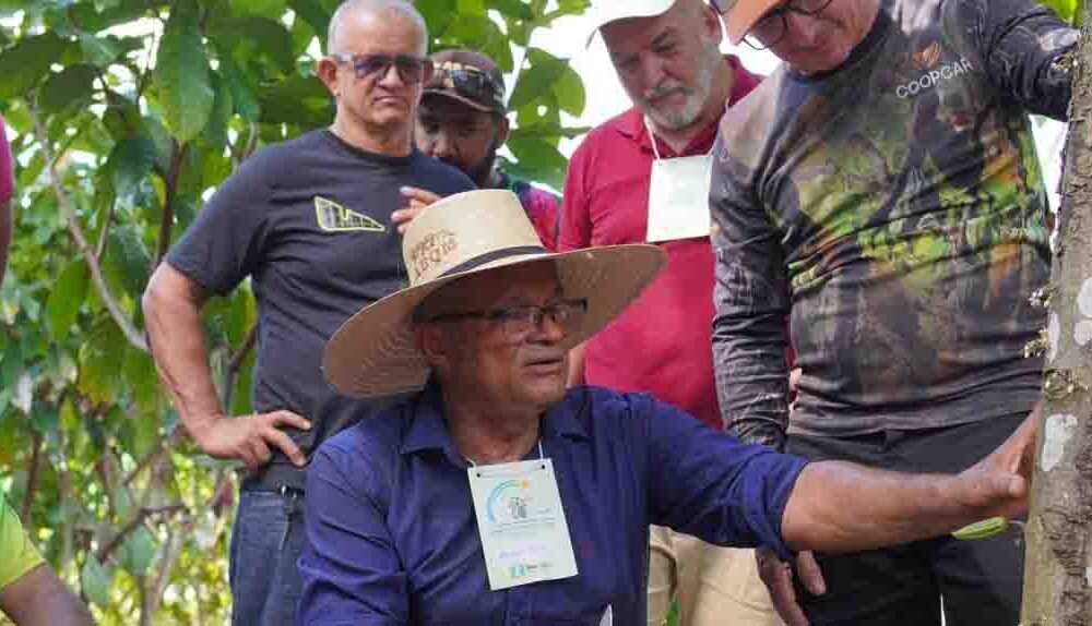 desenvolvimento-rural-ale-rr-fortalece-cadeia-do-cacau-com-seminario-e-capacitacao-pratica-em-caroebe-|-ale-rr-|-assembleia-legislativa-de-roraima