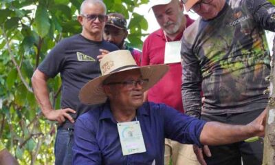 desenvolvimento-rural-ale-rr-fortalece-cadeia-do-cacau-com-seminario-e-capacitacao-pratica-em-caroebe-|-ale-rr-|-assembleia-legislativa-de-roraima