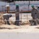setor-da-construcao-civil-impulsiona-geracao-de-empregos-formais-em-roraima-–-governo-de-roraima