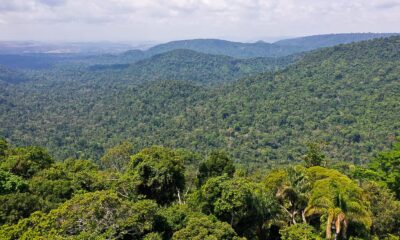 instituto-lanca-edital-para-projetos-que-protejam-a-amazonia