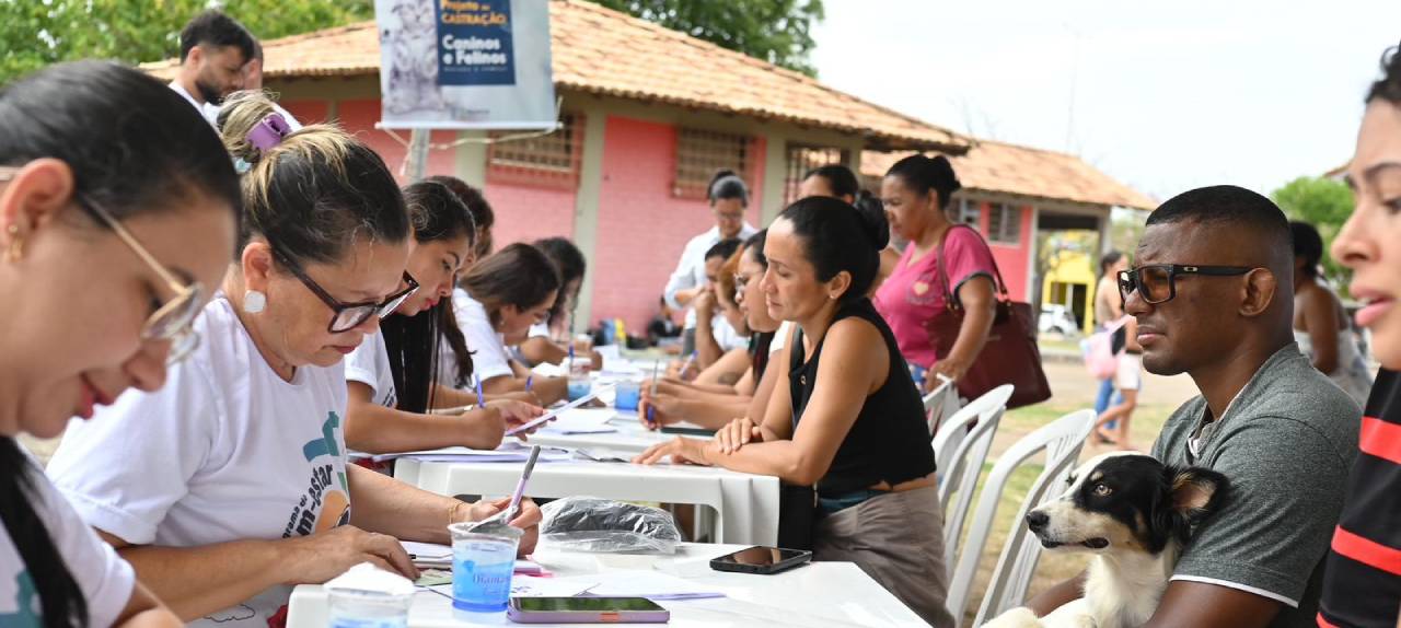 caes-e-gatos-ale-rr-inicia-cadastramento-para-castracao-gratuita-no-programa-do-bem-estar-animal-|-ale-rr-|-assembleia-legislativa-de-roraima